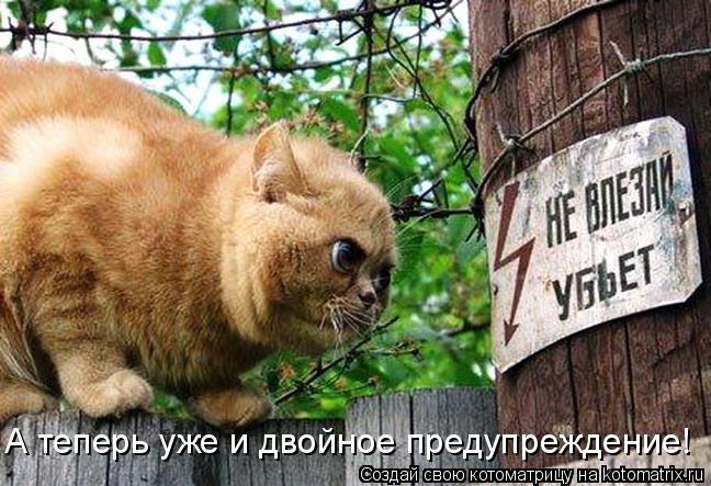 Котоматрица: А теперь уже и двойное предупреждение!