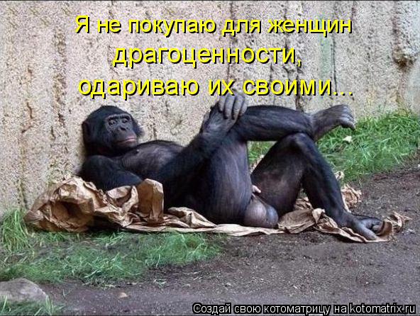 Котоматрица: Я не покупаю для женщин драгоценности, одариваю их своими...