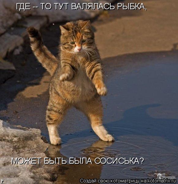 Котоматрица: ГДЕ -- ТО ТУТ ВАЛЯЛАСЬ РЫБКА, МОЖЕТ БЫТЬ БЫЛА СОСИСЬКА?