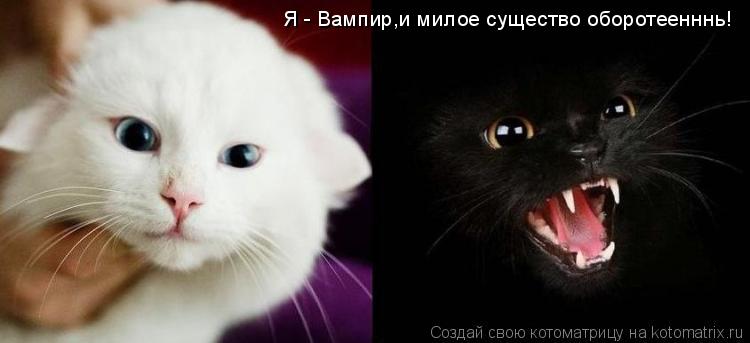 Котоматрица: Я - Вампир,и милое существо оборотеенннь!