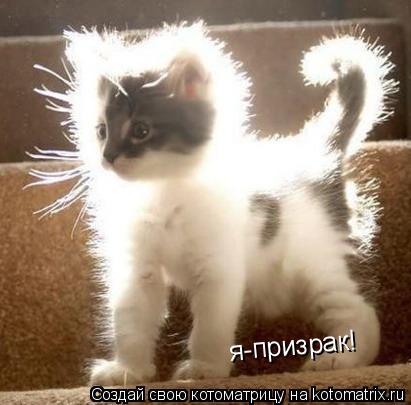 Котоматрица: я-призрак!
