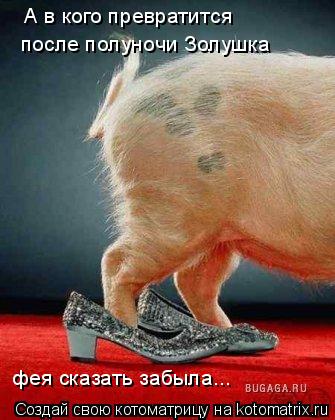 Котоматрица: А в кого превратится после полуночи Золушка фея сказать забыла...