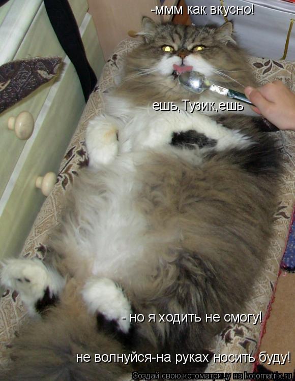 Котоматрица: -ммм как вкусно! ешь,Тузик,ешь не волнуйся-на руках носить буду! - но я ходить не смогу!