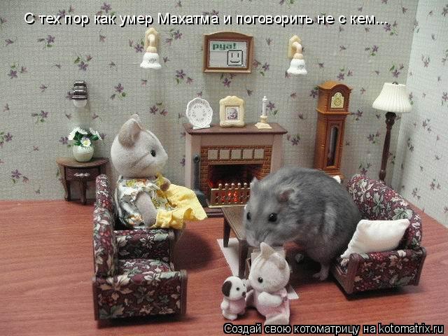 Котоматрица: С тех пор как умер Махатма и поговорить не с кем...