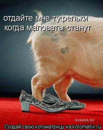 Котоматрица: отдайте мне туфельки когда маловаты станут