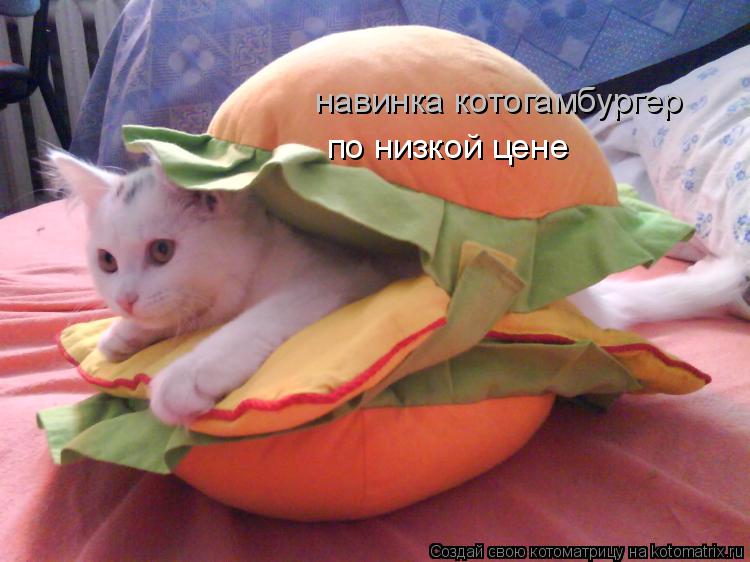 Котоматрица: навинка котогамбургер по низкой цене