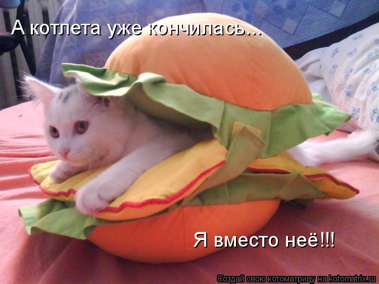 Котоматрица: А котлета уже кончилась... Я вместо неё!!!