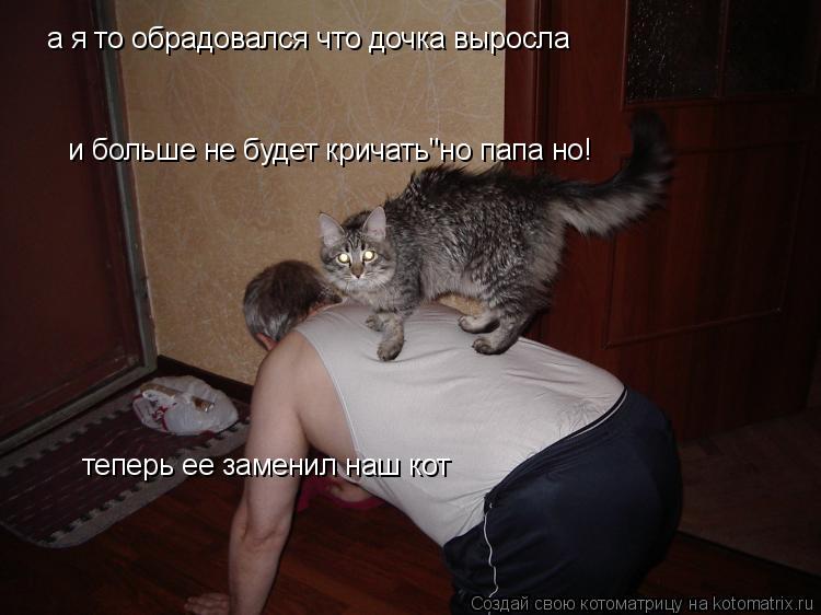 Котоматрица: а я то обрадовался что дочка выросла и больше не будет кричать"но папа но! теперь ее заменил наш кот