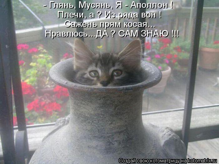 - Глянь, Мусянь, Я - Аполлон ! Плечи, а ? Из ряда вон ! Сажень прям косая... Нравлюсь...ДА ? САМ ЗНАЮ... Котоматрица: - Глянь, Мусянь, Я - Аполлон ! Плечи, а ? Из ряда вон ! Сажень прям косая... Нравлюсь...ДА ? САМ ЗНАЮ !!!