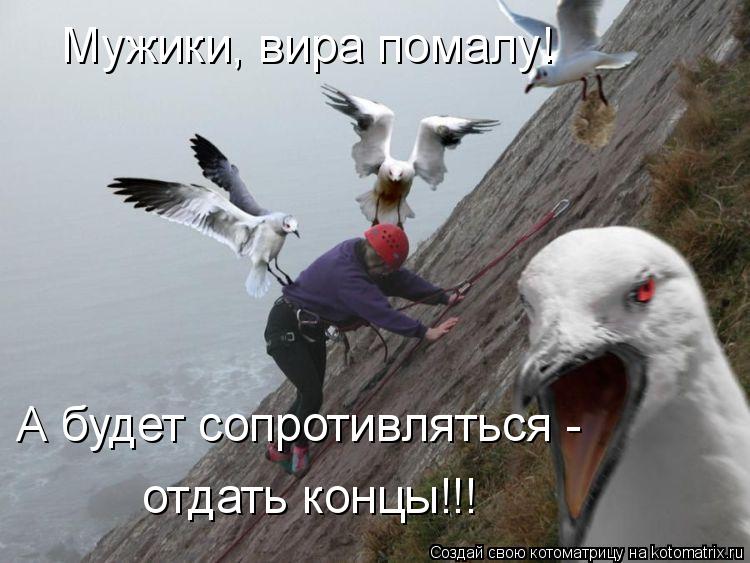 Котоматрица: Мужики, вира помалу! А будет сопротивляться - отдать концы!!!