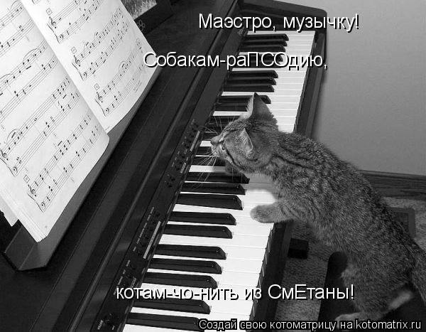 Маэстро, музычку! Собакам-раПСОдию, котам-чо-нить из СмЕтаны!... Котоматрица: Маэстро, музычку! Собакам-раПСОдию, котам-чо-нить из СмЕтаны!
