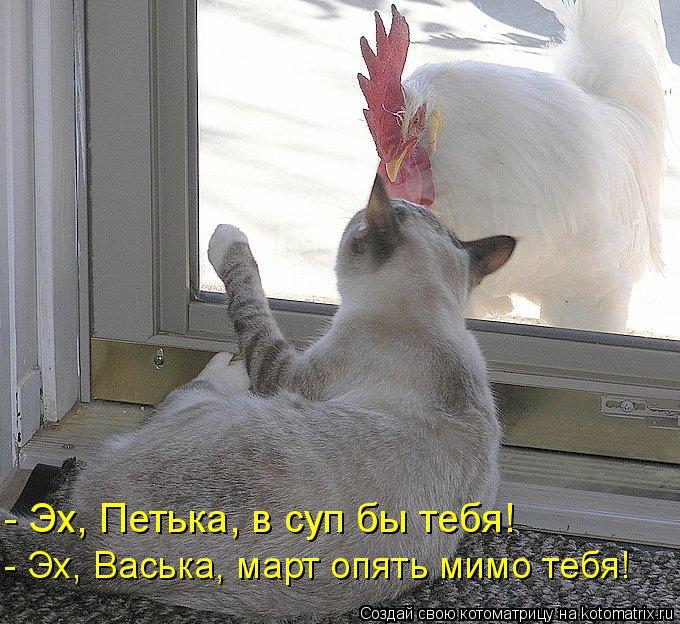 - Эх, Петька, в суп бы тебя! - Эх, Васька, март опять мимо тебя!... Котоматрица: - Эх, Петька, в суп бы тебя! - Эх, Васька, март опять мимо тебя!