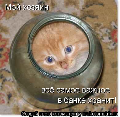 Котоматрица: Мой хозяин  всё самое важное  в банке хранит!