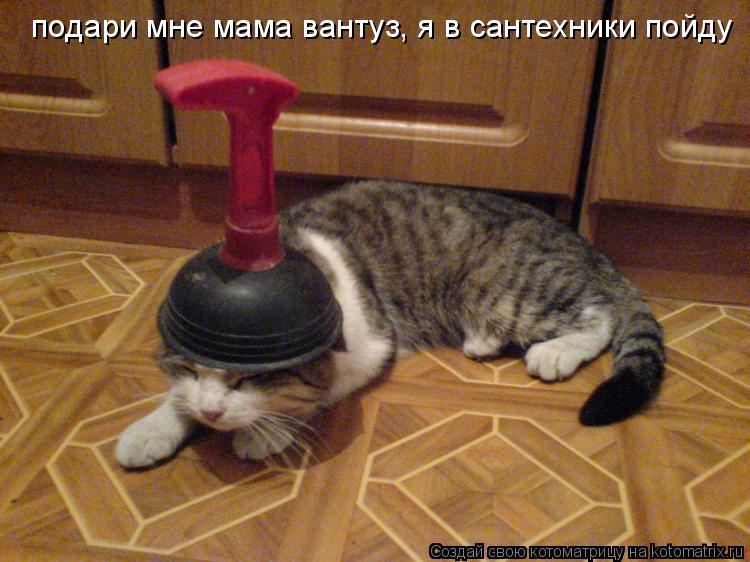 Котоматрица: подари мне мама вантуз, я в сантехники пойду