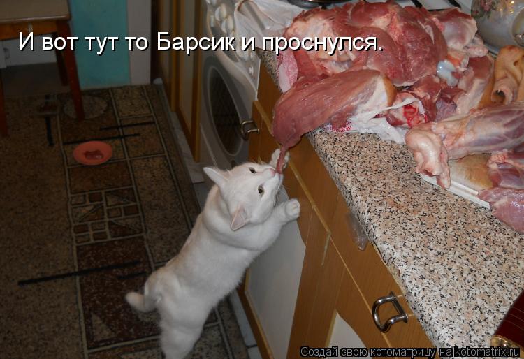 Котоматрица: И вот тут то Барсик и проснулся.