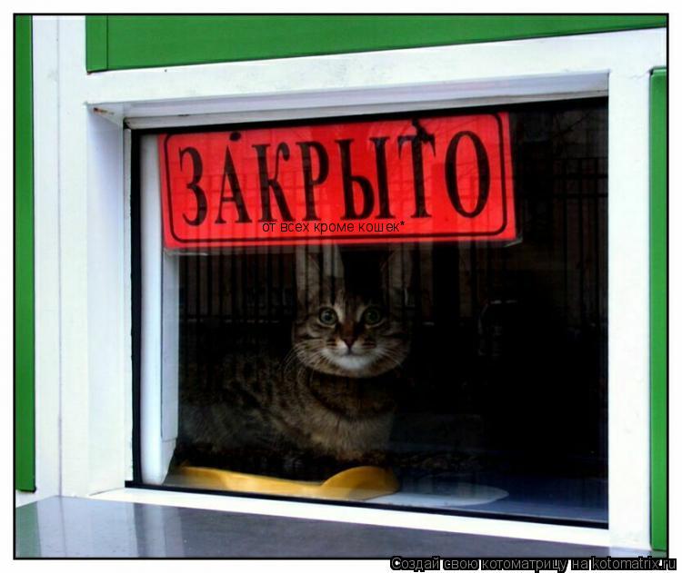 Котоматрица: от всех кроме кошек*