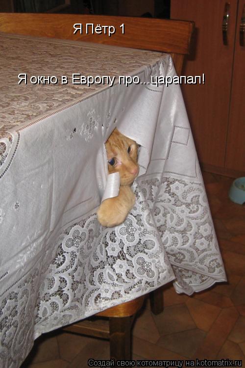 Котоматрица: Я Пётр 1 Я окно в Европу про...царапал!