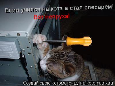 Котоматрица: Блин учился на кота а стал слесарем! Вот непруха!