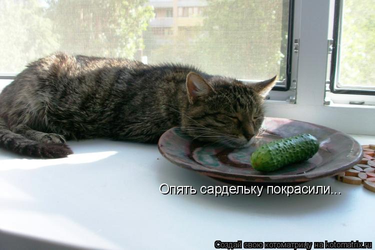 Котоматрица: Опять сардельку покрасили...
