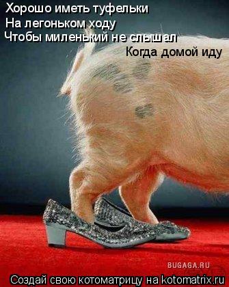 Котоматрица: Хорошо иметь туфельки На легоньком ходу Чтобы миленький не слышал Когда домой иду