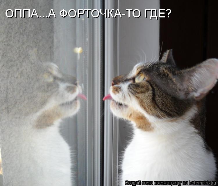 Котоматрица: ОППА...А ФОРТОЧКА-ТО ГДЕ?