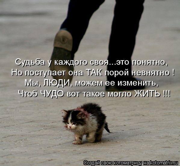Судьба у каждого своя...это понятно, Но поступает она ТАК порой невнятно ! Чтоб ЧУДО вот такое могло ... Котоматрица: Судьба у каждого своя...это понятно, Но поступает она ТАК порой невнятно ! Чтоб ЧУДО вот такое могло ЖИТЬ !!! Мы, ЛЮДИ, можем ее изменить,