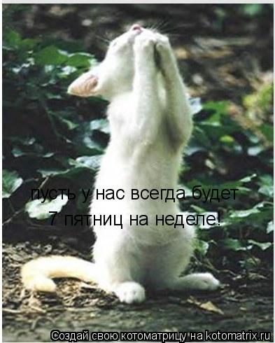 пусть у нас всегда будет пусть у нас всегда будет 7 пятниц на неделе!... Котоматрица: пусть у нас всегда будет пусть у нас всегда будет 7 пятниц на неделе!