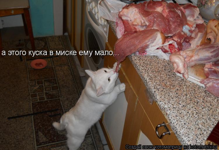 а этого куска в миске ему мало...... Котоматрица: а этого куска в миске ему мало...
