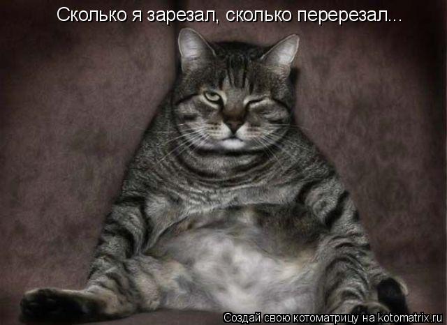 Сколько я зарезал, сколько перерезал...... Котоматрица: Сколько я зарезал, сколько перерезал...