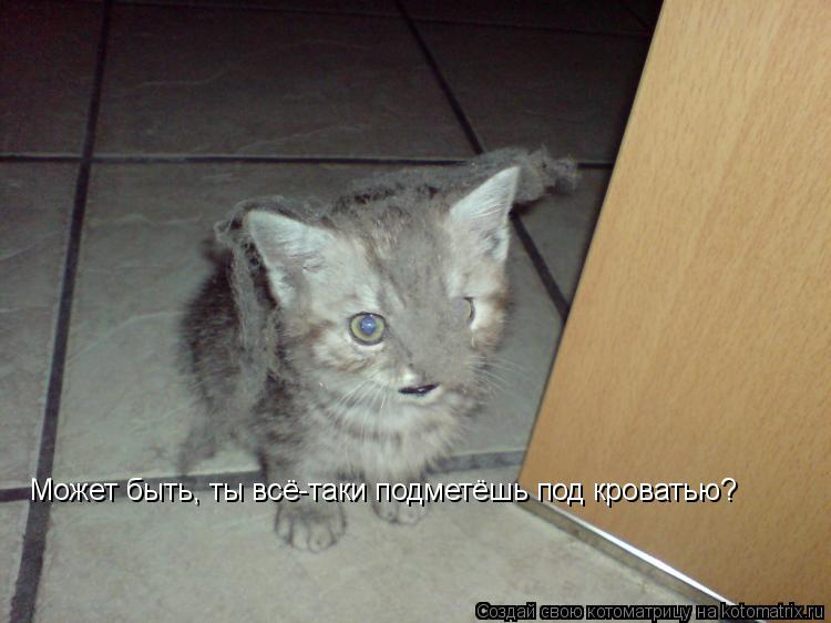 Котоматрица: Может быть, ты всё-таки подметёшь под кроватью?