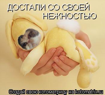 Котоматрица: ДОСТАЛИ СО СВОЕЙ НЕЖНОСТЬЮ