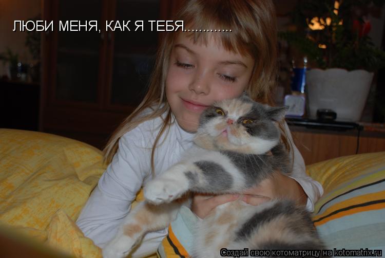 Котоматрица: ЛЮБИ МЕНЯ, КАК Я ТЕБЯ.............