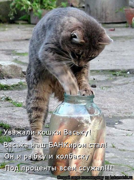 Уважали кошки Ваську! Васька наш БАНКиром стал! Он и рыбку и колбаску Под проценты всем ссужал!!!... Котоматрица: Уважали кошки Ваську! Васька наш БАНКиром стал! Он и рыбку и колбаску Под проценты всем ссужал!!!