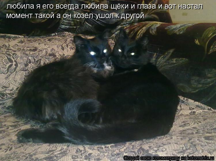 Котоматрица: любила я его всегда любила щёки и глаза и вот настал   момент такой а он козёл ушол к другой