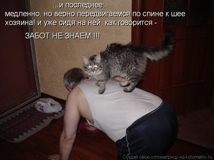 Котоматрица: ...и последнее: медленно, но верно передвигаемся по спине к шее хозяина,  медленно, но верно передвигаемся по спине к шее  хозяина! и уже сидя н