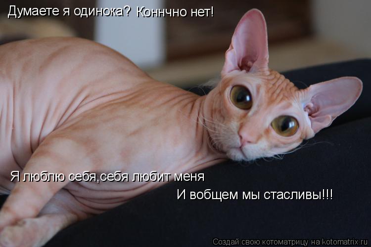 Котоматрица: Думаете я одинока? Коннчно нет! Я люблю себя,себя любит меня И вобщем мы стасливы!!!