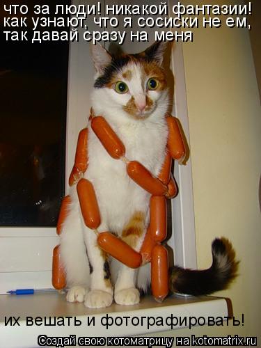 Котоматрица: их вешать и фотографировать! что за люди! никакой фантазии! как узнают, что я сосиски не ем, так давай сразу на меня