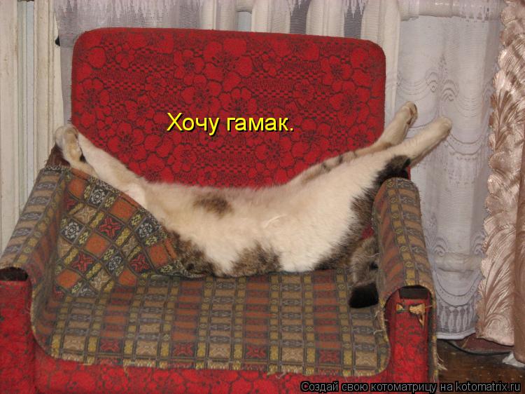 Котоматрица: Хочу гамак.