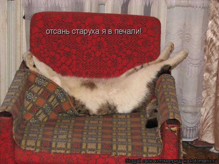 Котоматрица: отсань старуха я в печали!