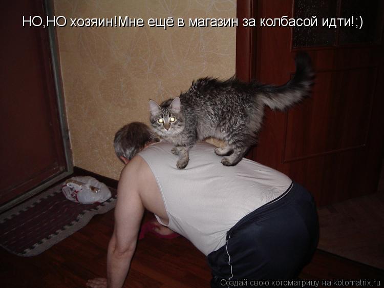 Котоматрица: НО,НО хозяин!Мне ещё в магазин за колбасой идти!;)