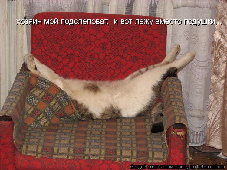 Котоматрица: хозяин мой подслеповат,  и вот лежу вместо подушки...