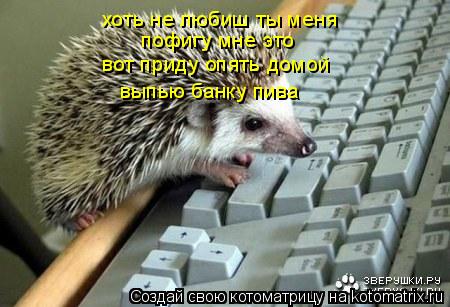 хоть не любиш ты меня пофигу мне это вот приду опять домой выпью банку пива... Котоматрица: хоть не любиш ты меня пофигу мне это вот приду опять домой выпью банку пива