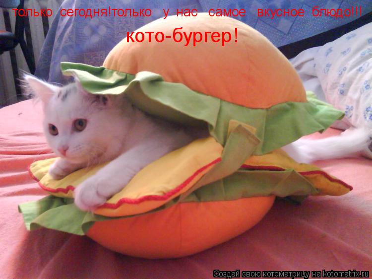 только сегодня!только у нас самое вкусное блюдо!!! кото-бургер!... Котоматрица: только сегодня!только у нас самое вкусное блюдо!!! кото-бургер!