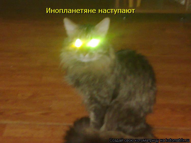 Инопланетяне наступают... Котоматрица: Инопланетяне наступают