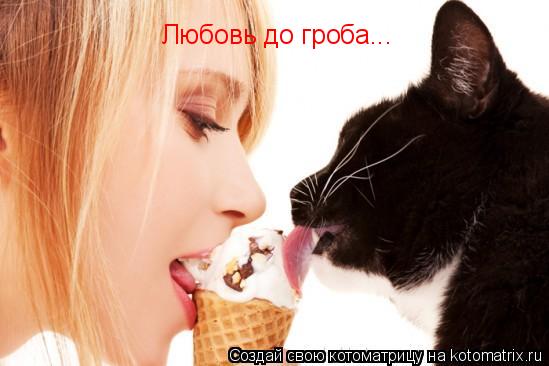 Любовь до гроба...... Котоматрица: Любовь до гроба...