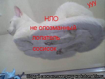 НЛО не опозманный лопатель сосисок ууу... Котоматрица: НЛО не опозманный лопатель сосисок ууу