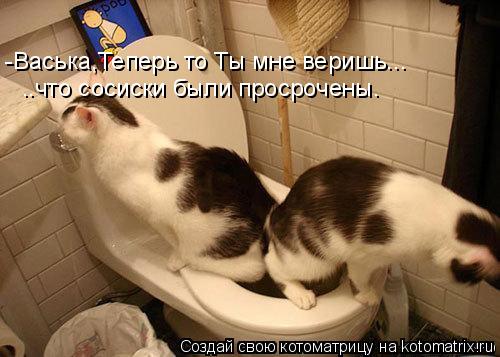 -Васька,Теперь то Ты мне веришь... ..что сосиски были просрочены.... Котоматрица: -Васька,Теперь то Ты мне веришь... ..что сосиски были просрочены.