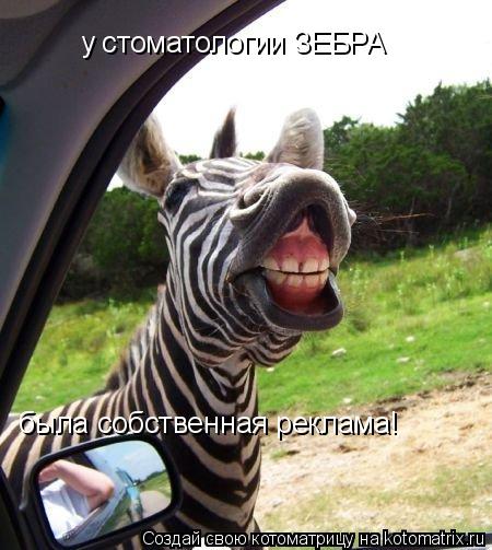 у стоматологии ЗЕБРА была собственная реклама!... Котоматрица: у стоматологии ЗЕБРА была собственная реклама!