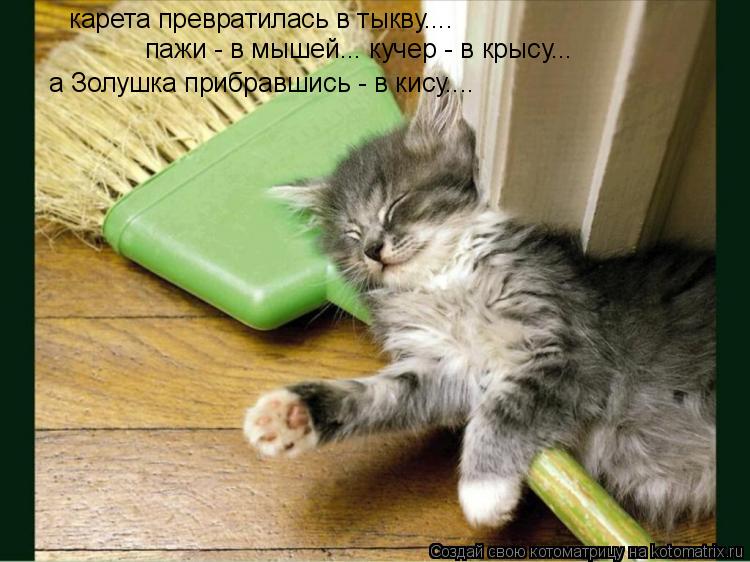 карета превратилась в тыкву.... а Золушка прибравшись - в кису.... пажи - в мышей... кучер - в крысу.... Котоматрица: карета превратилась в тыкву.... а Золушка прибравшись - в кису.... пажи - в мышей... кучер - в крысу...