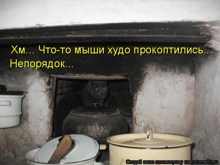 Хм... Что-то мыши худо прокоптились... Непорядок...... Котоматрица: Хм... Что-то мыши худо прокоптились... Непорядок...